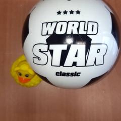 Ball and  toy duck, as reported by Grand Hotel Amrath Kurhaus using iLost