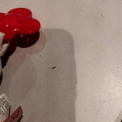Speenclip, rapporterat av De Efteling med iLost