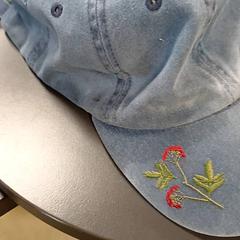 Casquette, a été signalé par IKEA Strasbourg utilisant iLost