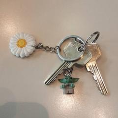 열쇠 Yoda hanger/ bloemetje hanger, iLost를 사용하여 LUMC에 보고됨