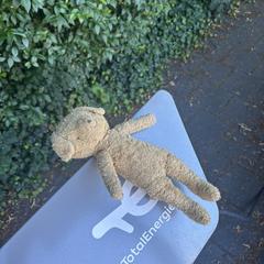 Teddy bear, iLost-i jakinarazi zaion moduan