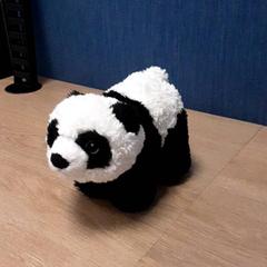 Pandaknuffel, as reported by LUMC using iLost