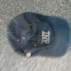 Pet, as reported by Connexxion Hoekse Waard/Goeree Overflakkee using iLost