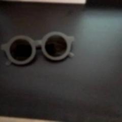Gafas de sol, ha sido reportado por Apenheul con iLost