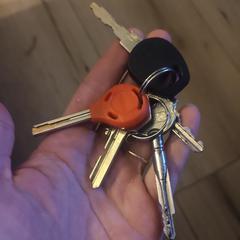 Sleutelbos, gerapporteerd met iLost