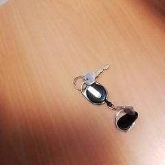 Key, as reported by Hermes Eindhoven using iLost
