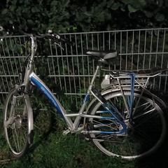 Fiets, ha sido reportado a iLost