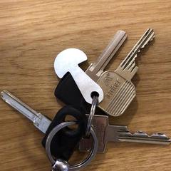Schlüssel Paddenstoeltje als sleutelhanger, gemeldet von Gemeente Alkmaar über iLost