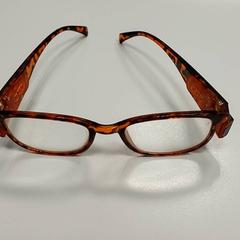 Glasses, as reported by Regio West-Vlaanderen using iLost