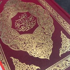 Koran, rapporterat av Rotterdam The Hague Airport med iLost