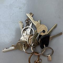 Sleutels がiLostに報告されました