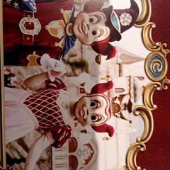 Attractiefoto droomvlucht, come riportato da De Efteling utilizzando iLost