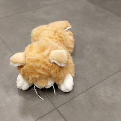 Various - Knuffel, as reported by Regio Oost-Vlaanderen using iLost