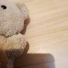 Peluche, ha sido reportado por Beekse Bergen Resorts en Hotel con iLost