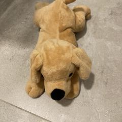 Knuffel, som rapportert til iLost