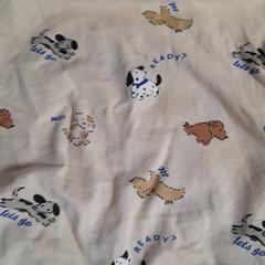 Camisa, segons ha informat Dolfinarium mitjançant iLost