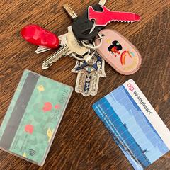Jeans Jacket, Keys and Cards, como reportado ao iLost