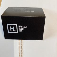 Collaret Goudkleurig met hangertje, segons ha informat Stad Hasselt mitjançant iLost