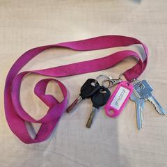 Sleutelbos met roze keycord, as reported to iLost