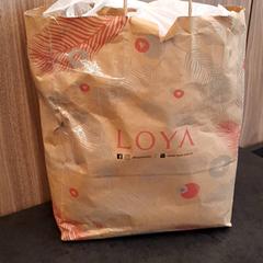 Bag, som rapportert av Rotterdam The Hague Airport ved bruk av iLost