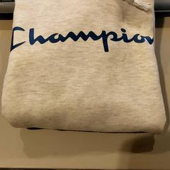 Xersei Beige with champion erop, segundo informou TU/e - Receptie Neuron usando iLost