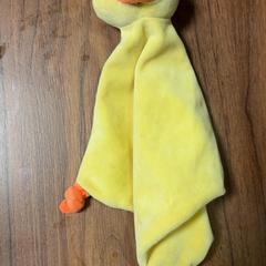 Duck, as reported by Pathé Haarlem using iLost