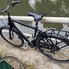 Fiets Gazelle, iLost-i jakinarazi zaion moduan