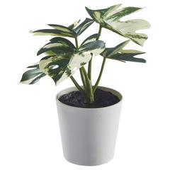IKEA produkt, som rapportert av IKEA 동부산점 ved bruk av iLost