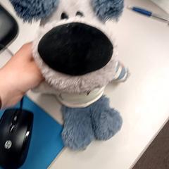 Peluche Woezel, como reportado por Burgers' Zoo utilizando o iLost