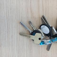 Key, as reported by Arriva West-Brabant using iLost