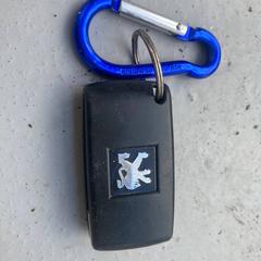 Peugeot Car Key, iLost에 보고됨