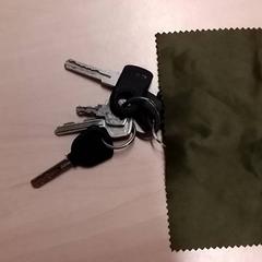 Sleutebos, segons ha informat RET mitjançant iLost