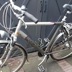 Heren fiets merk Giant Custom, ako bolo nahlásené iLost