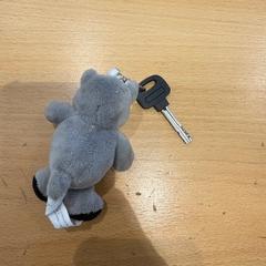 鍵 met knuffel がiLostで Gemeente Gooise Meren によって報告されました