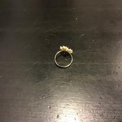 Ring, as reported by Qbuzz U-OV using iLost
