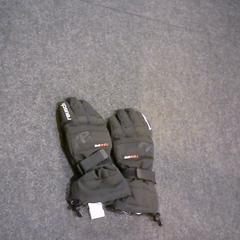 Gloves, as reported by SnowWorld Landgraaf using iLost