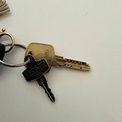 Key, as reported by ilévia using iLost