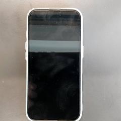 Chytrý telefon iPhone, jak nahlášeno Regio Limburg - Leuven pomocí iLost