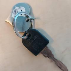 Chiave, come riportato da Blauwnet Zwolle utilizzando iLost
