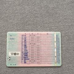 Driving license a été signalé sur iLost