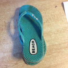 Slippers, as reported by Dolfinarium using iLost