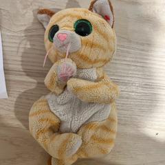 Gosedjur katt, iLost를 사용하여 IKEA Kållered에 보고됨