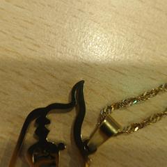 Necklace goud, as reported by Walibi Holland using iLost