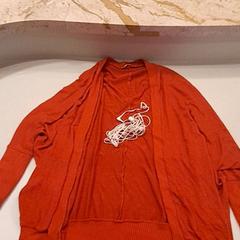 가디건 Rood en oortjes, iLost를 사용하여 Van der Valk Hotel Schiphol에 보고됨