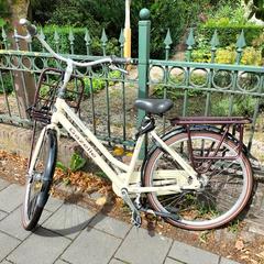 Gazelle damesfiets, iLost에 보고됨