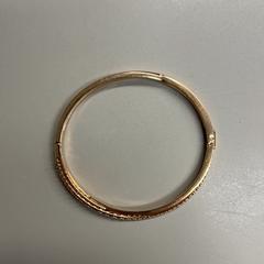 Armband Goud, rapporterat av Burgers' Zoo med iLost