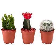 IKEA produkt, som rapportert av IKEA 동부산점 ved bruk av iLost