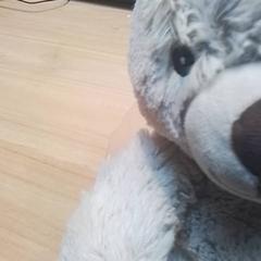 ぬいぐるみ がiLostで Beekse Bergen Resorts en Hotel によって報告されました
