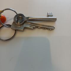 Clave Poesachtige sleurelhanger, segundo informou Arriva Limburg Zuid usando iLost