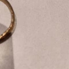 Pulsera, ha sido reportado por De Efteling con iLost